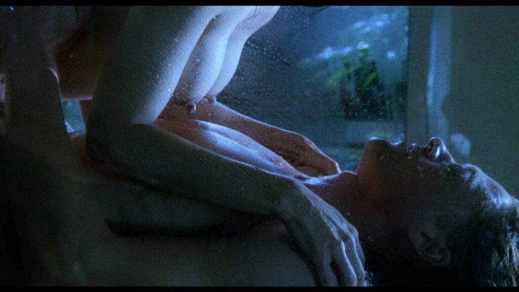 Adrienne Sachs In the Cold of the Night 1990 1080p Blu ray Remux 001 NCS 005