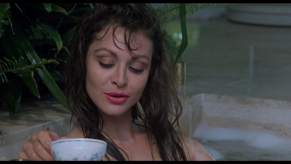 Adrienne Sachs In the Cold of the Night 1990 1080p Blu ray Remux 002 NCS 004