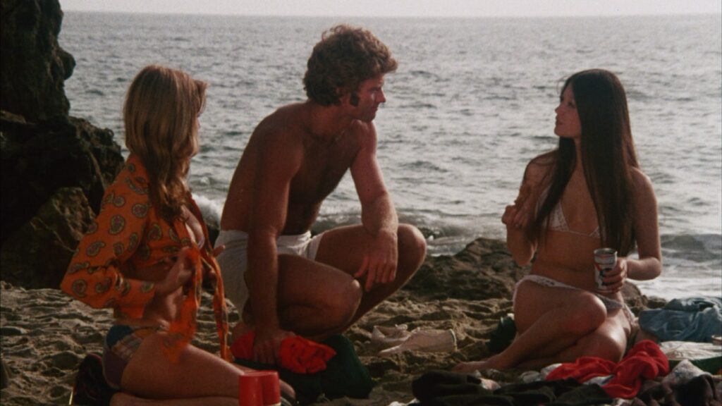 Aimee Eccles Victoria Vetri Bikini Scenes Group Marriage 1973 1080p Blu ray Remux 02 NCS 04