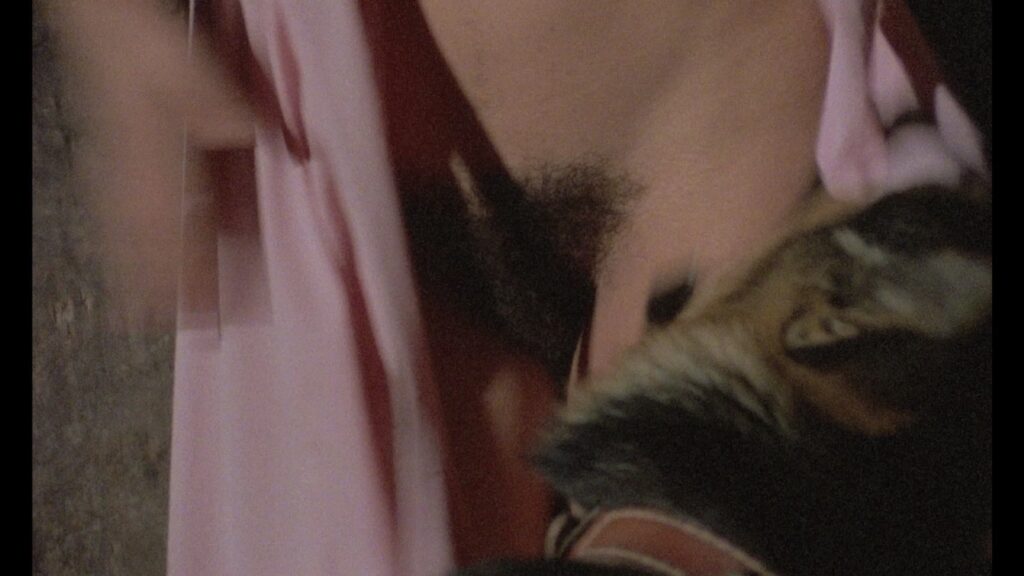 Anna Bruna Cazzato Unknown Full Frontal Patrick lebt 1980 Uncut 1080p Blu ray Remux 01 NCS 010