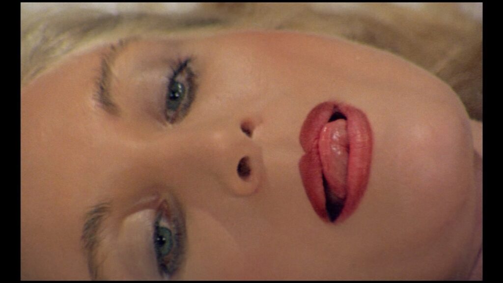 Patrizia Webley Play Motel 1979 1080p Blu ray Remux 01 NCS 04